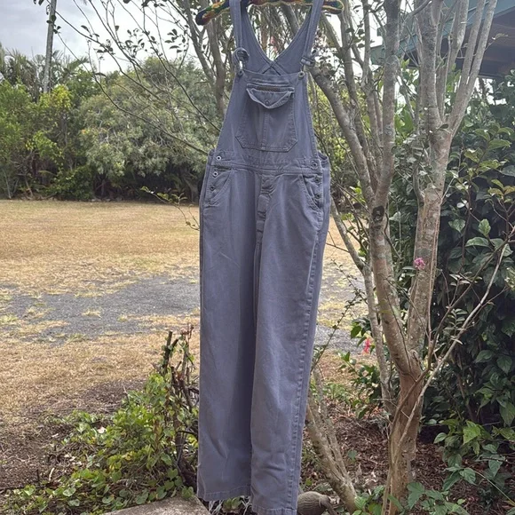 AGOLDE event vintage Blue Denim Overalls
